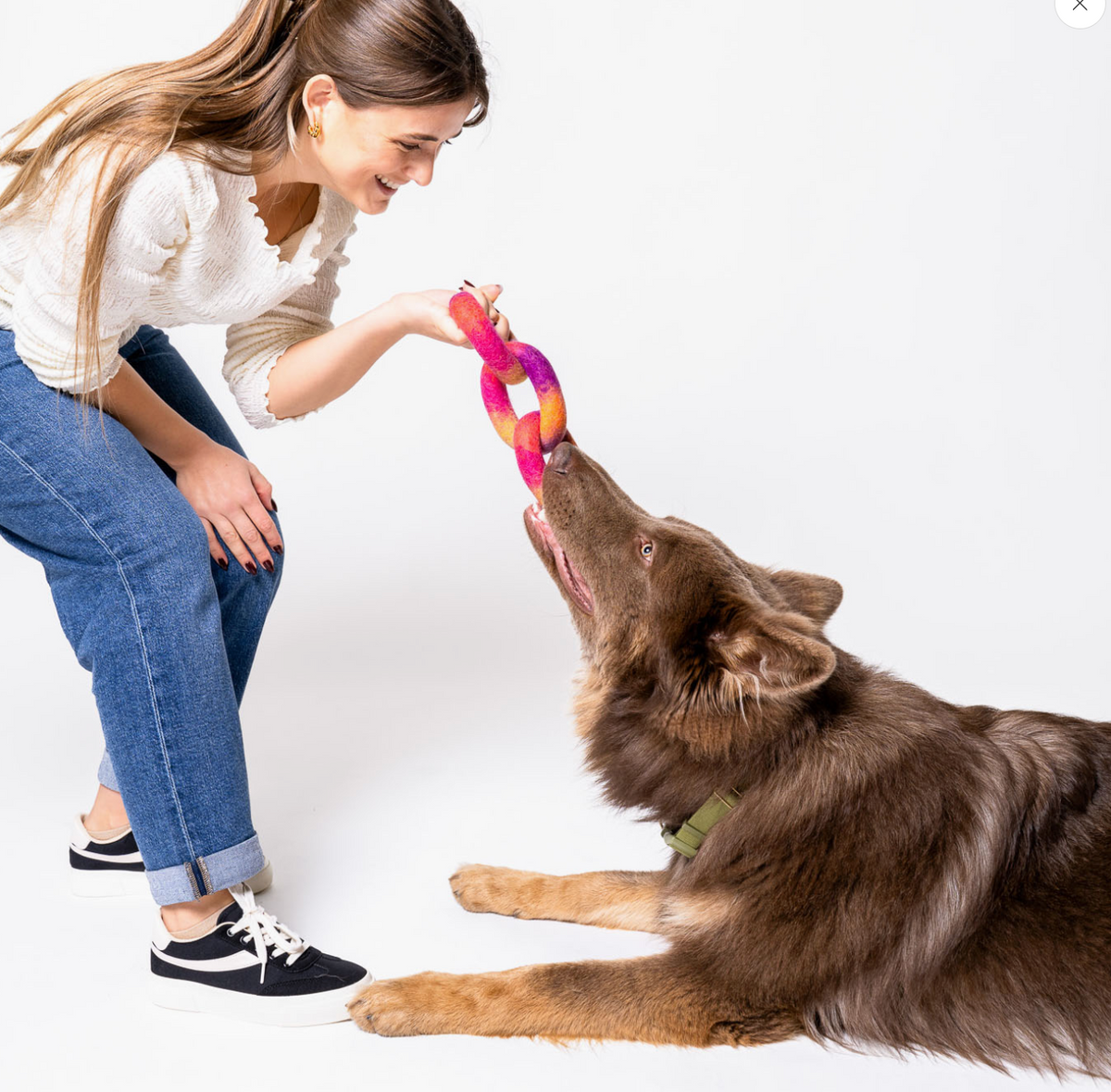 Awoo | Link Felt Wool Dog Toy