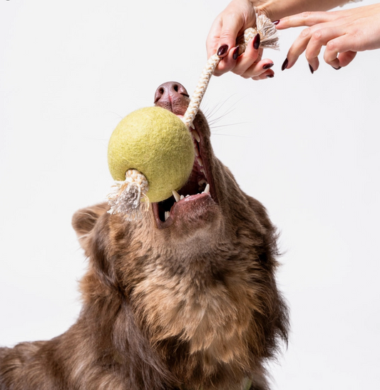 Awoo | Pimento Olive Felt & Rope Tug Toy