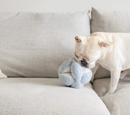 Lambwolf Collective | Monti Enrichment Snuffle Dog Toy – Baby Blue