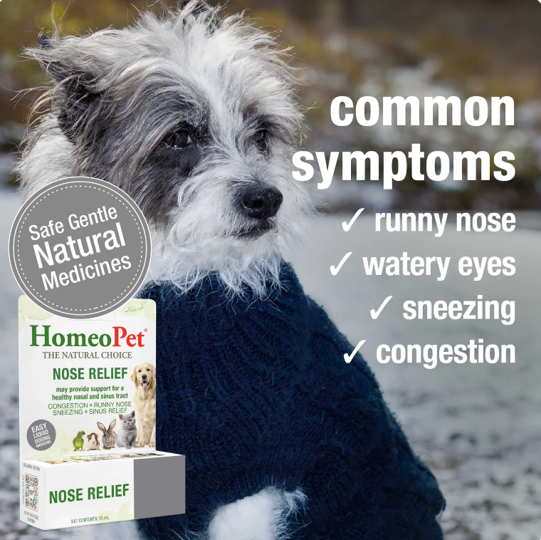 HomeoPet | Nose Relief | Homeopathic Oral Drops – 15 mL
