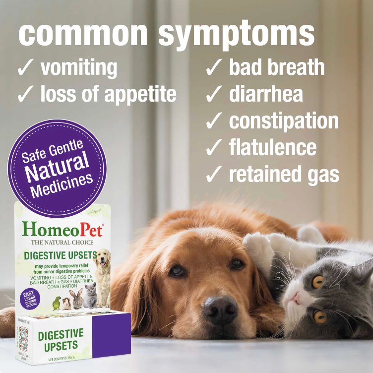 HomeoPet | Digestive Upsets | Homeopathic Oral Drops – 15 mL