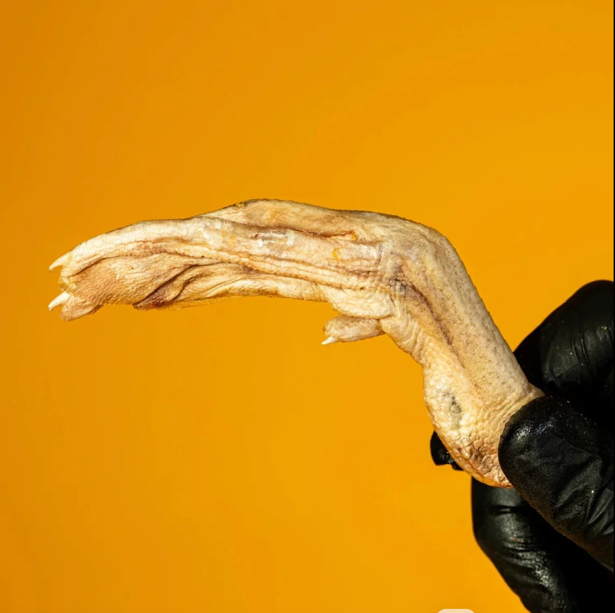 Golden Nibbles | Freeze-Dried Raw Duck Feet