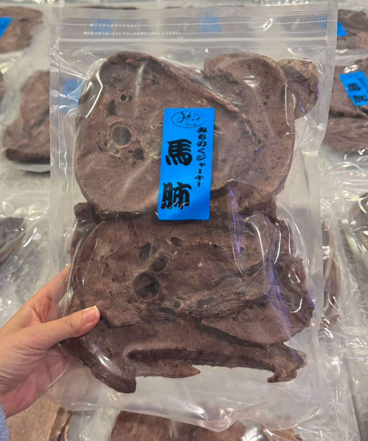 Michinoku Farm | Horse Lung