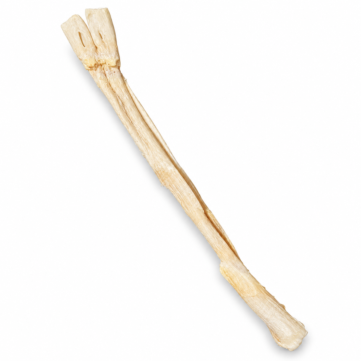New Zealand Freeze-Dried Beef Tendon