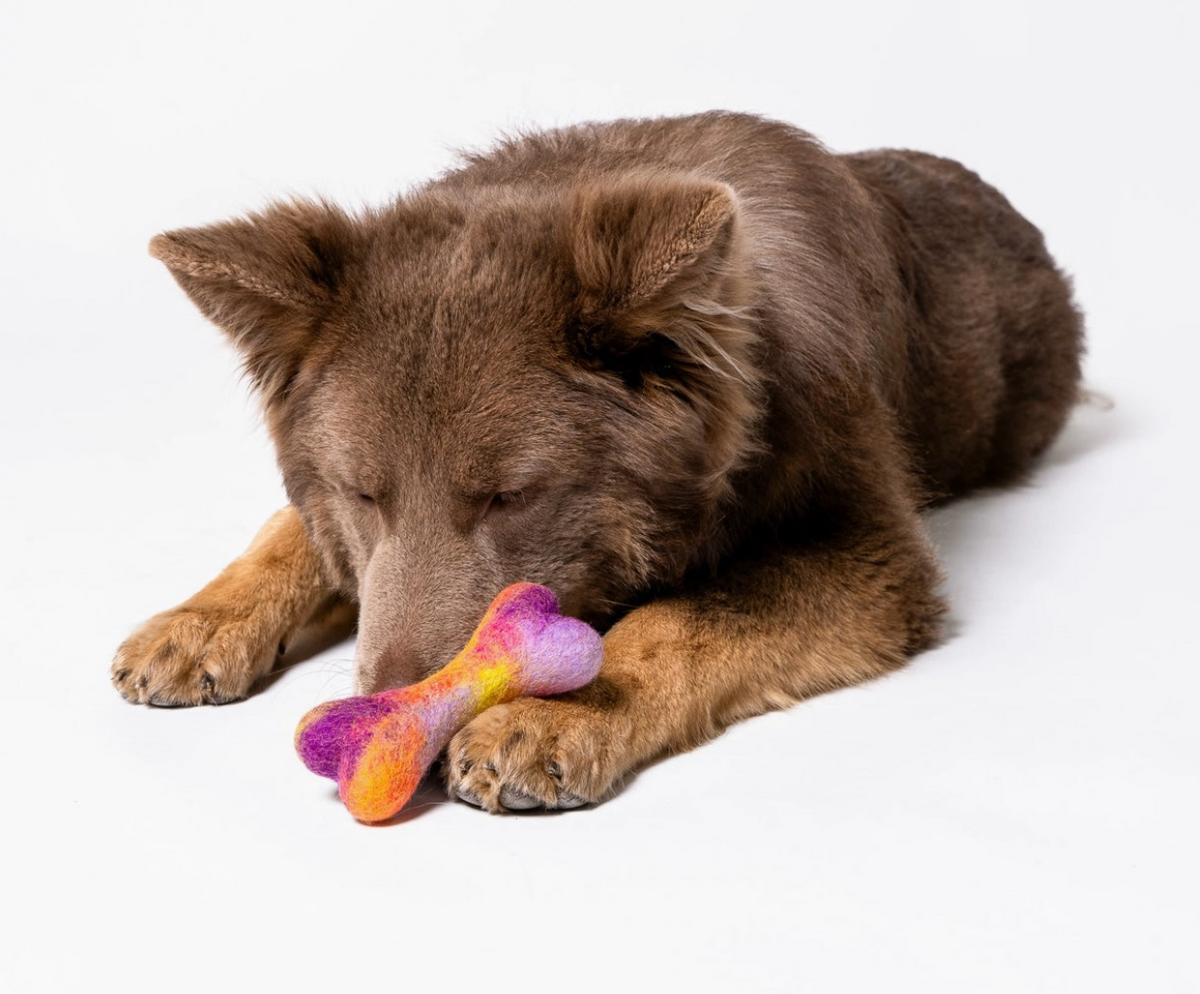 Awoo | Bone Felt Wool Dog Toy
