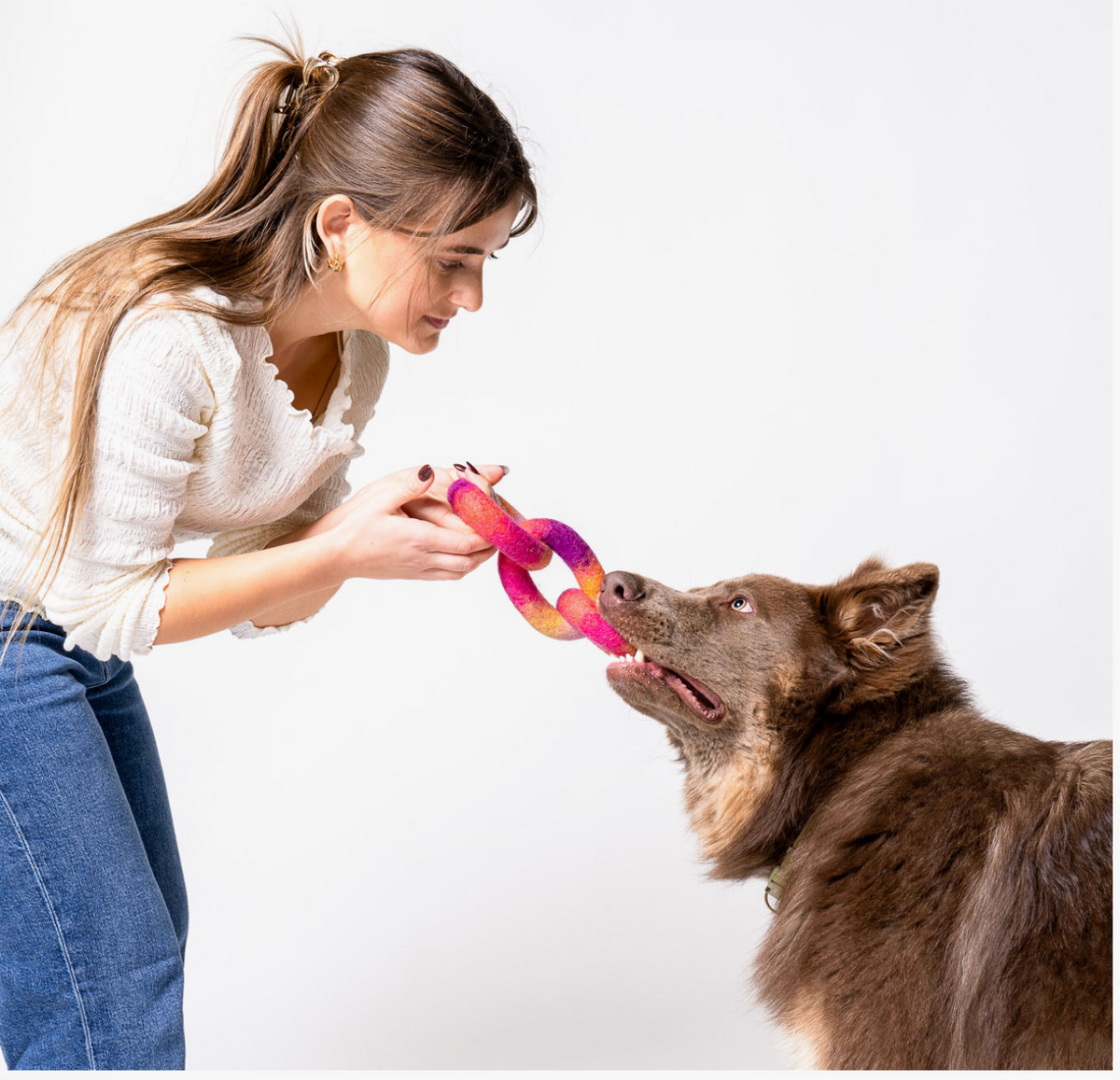 Awoo | Link Felt Wool Dog Toy