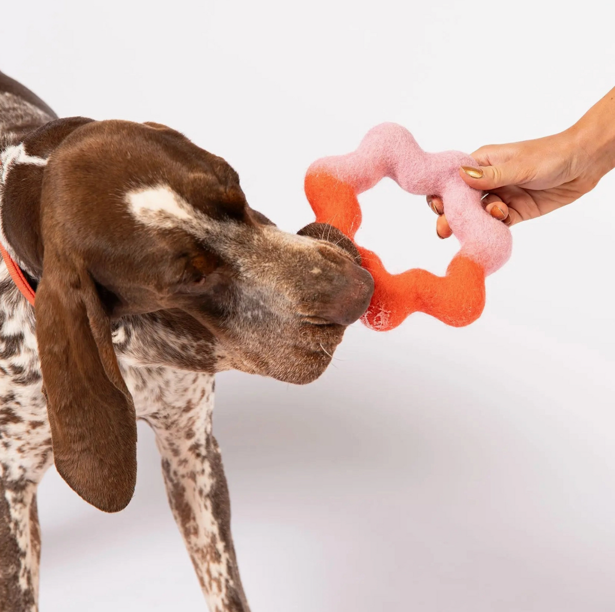 Awoo | Wiggle Ring Felt Wool Dog Toy – Pink & Orange