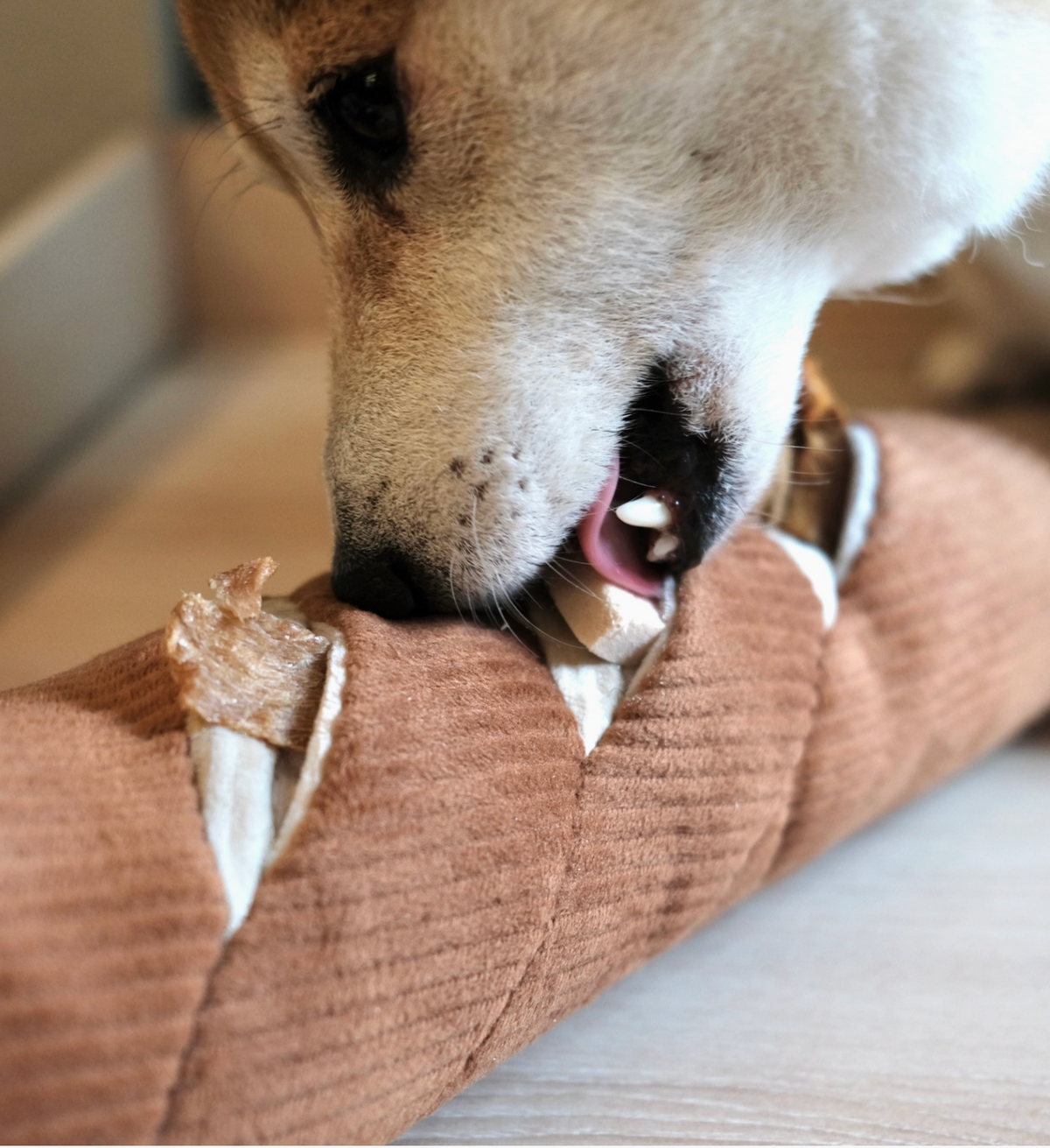Lambwolf Collective | Baguette Enrichment Dog Toy