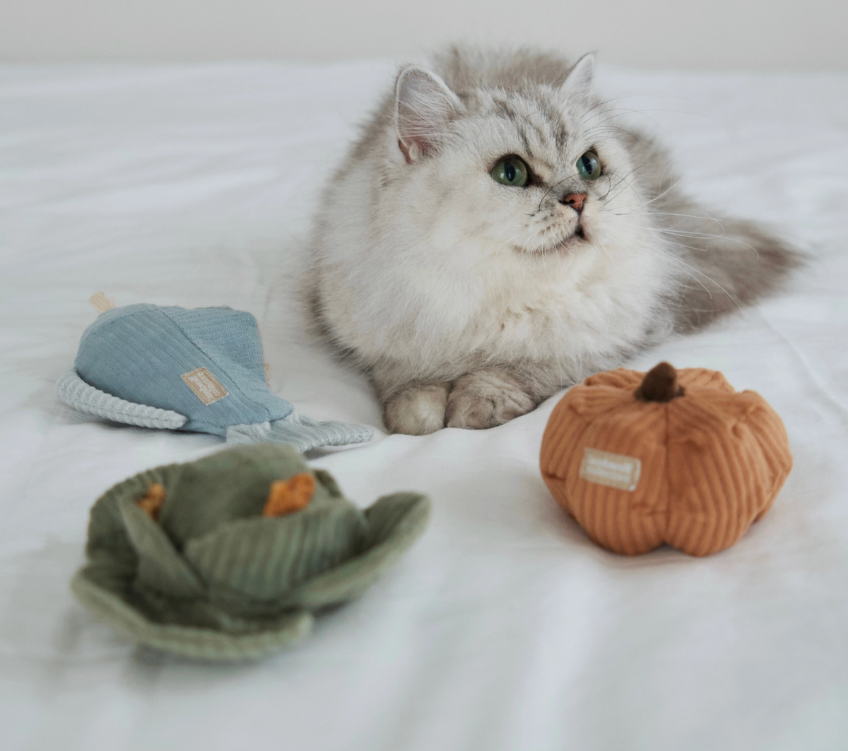 Lambwolf Collective | Kitty Veggie Cat Toy Set – Pumpkin&Cabbage