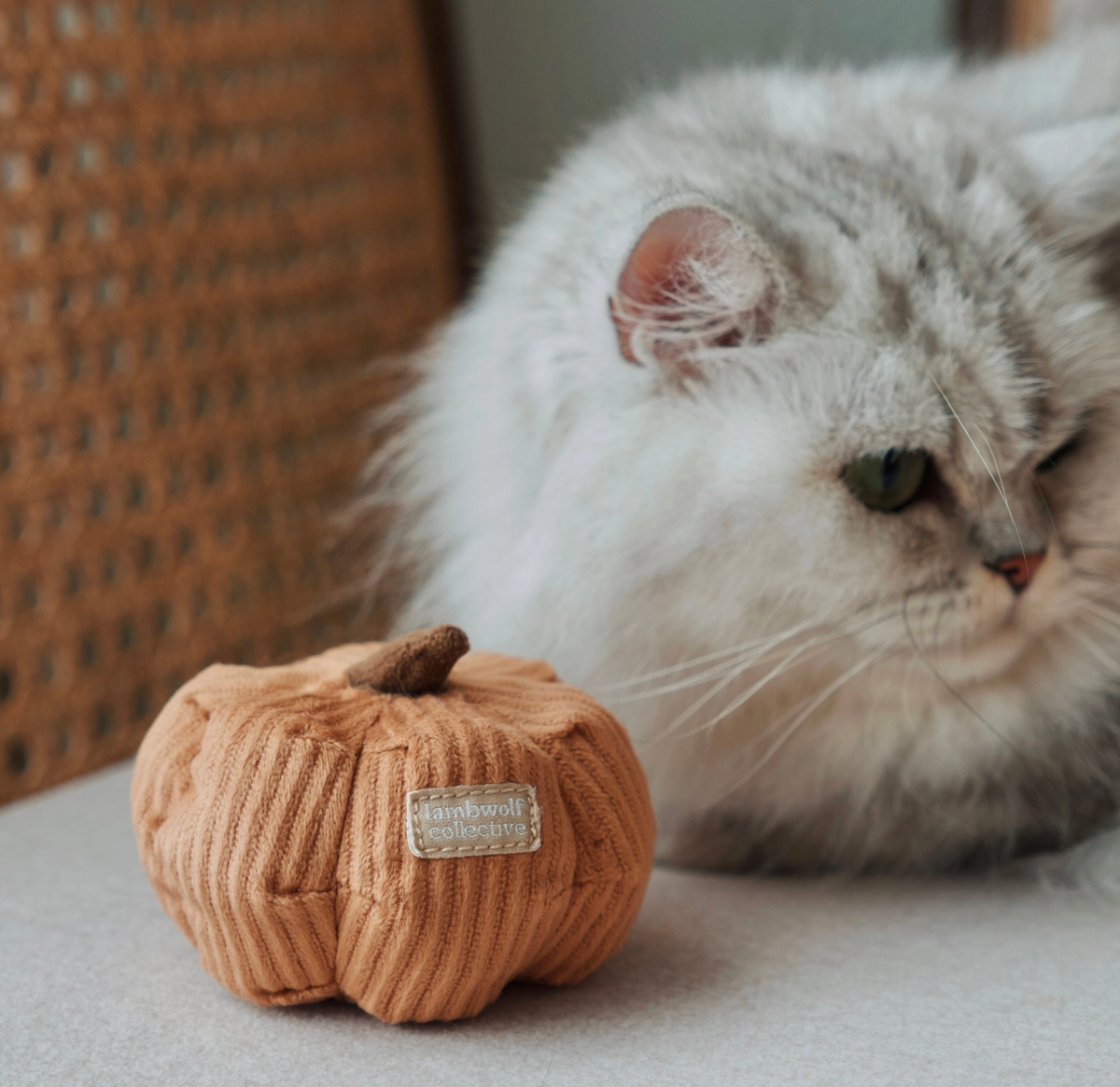 Lambwolf Collective | Kitty Veggie Cat Toy Set – Pumpkin&Cabbage
