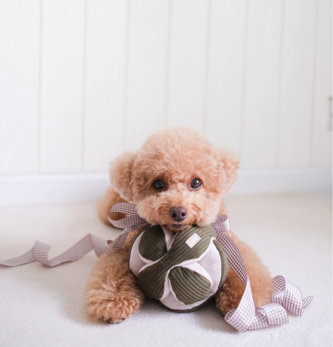 Lambwolf Collective | Monti Enrichment Snuffle Dog Toy