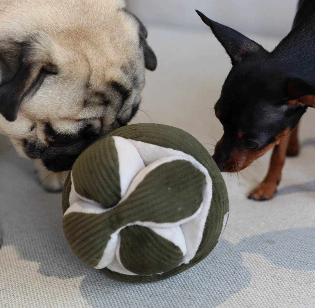 Lambwolf Collective | Monti Enrichment Snuffle Dog Toy