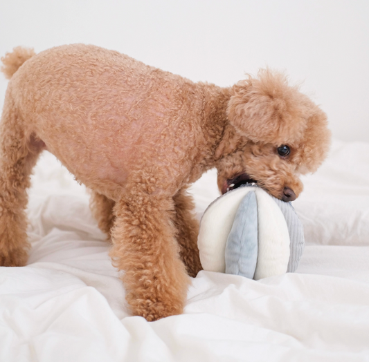 Lambwolf Collective | Toto | Enrichment Dog Toy | Snuffle Ball