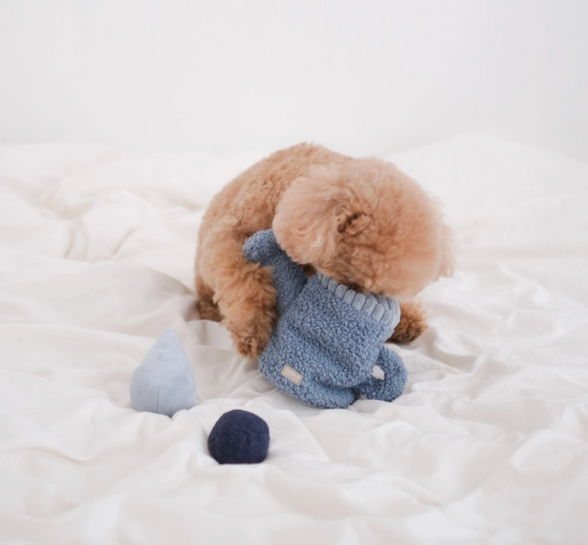 Lambwolf Collective | Watering Can  | Enrichment Dog Toy |  Squeaky Ball + Snuffle