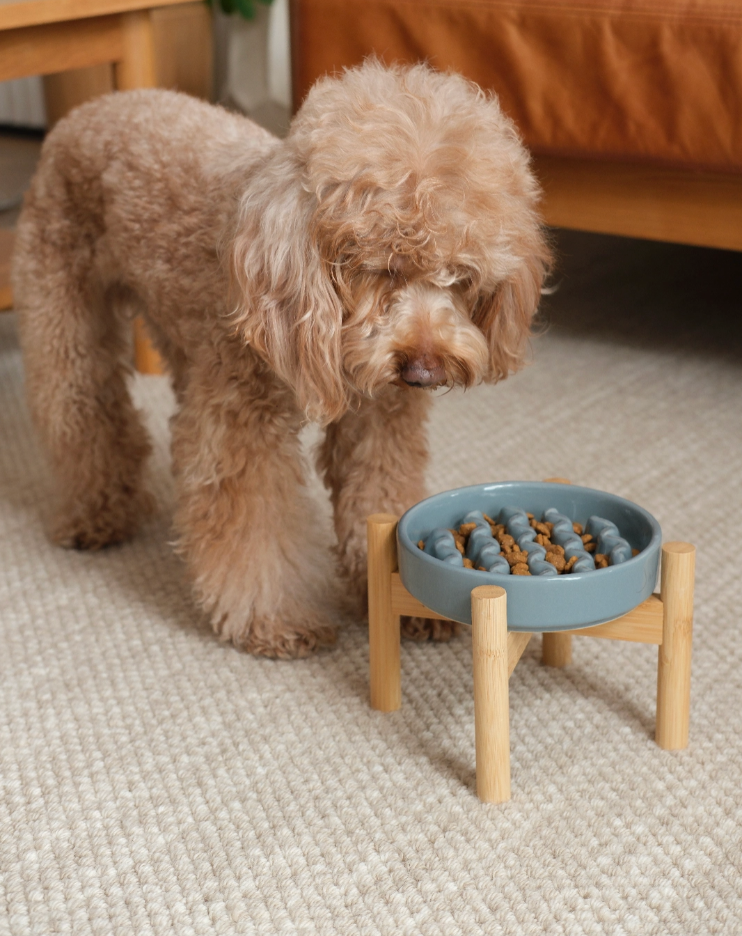 PEHOM | Macaroni Ceramic Slow Feeder Dog Bowl | Small
