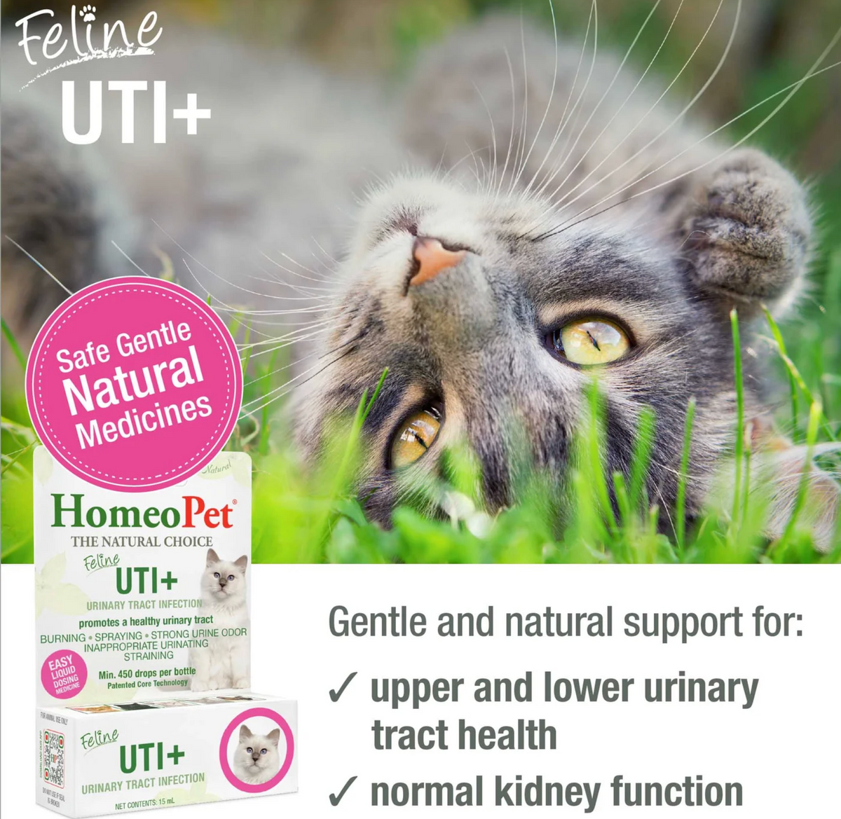 HomeoPet Feline UTI+