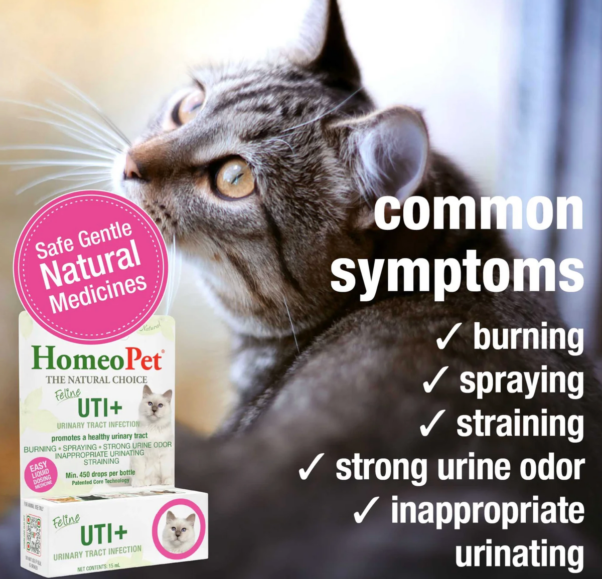 HomeoPet Feline UTI+