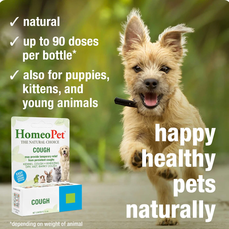 HomeoPet Cough | Homeopathic Drops for Pets – 15 mL