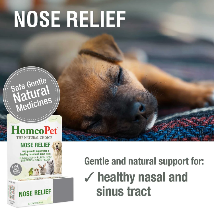HomeoPet | Nose Relief | Homeopathic Oral Drops – 15 mL