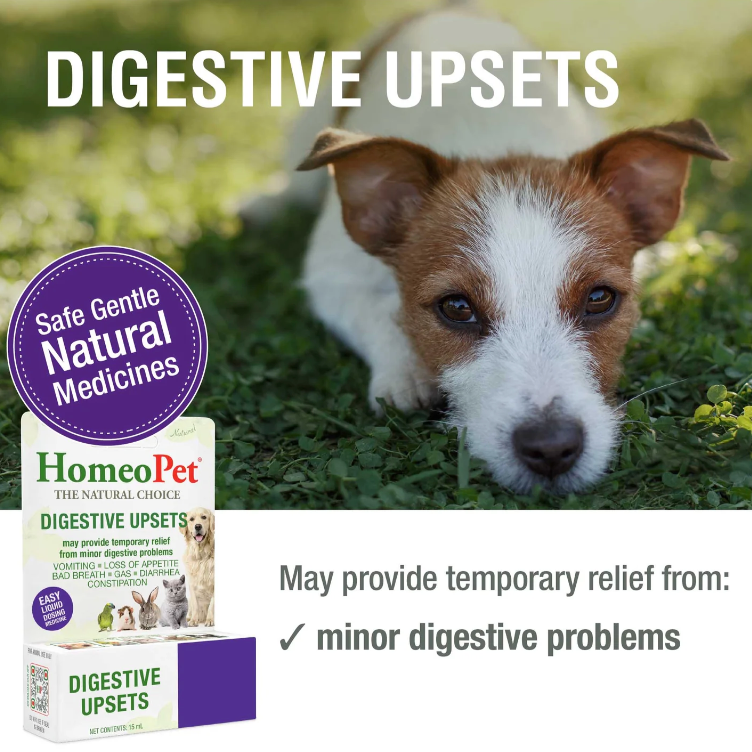 HomeoPet | Digestive Upsets | Homeopathic Oral Drops – 15 mL
