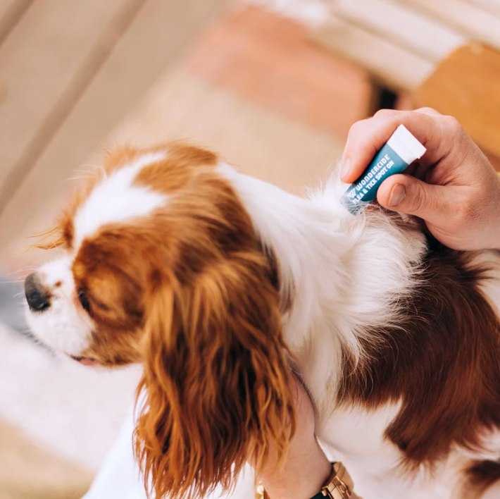 Wondercide Flea & Tick Spot On for Small Dogs – Peppermint