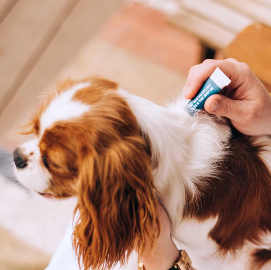 Wondercide Flea & Tick Spot On for Small Dogs – Peppermint