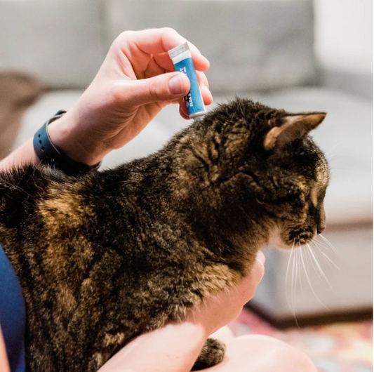 Wondercide Flea & Tick Spot On for Small Dogs – Peppermint