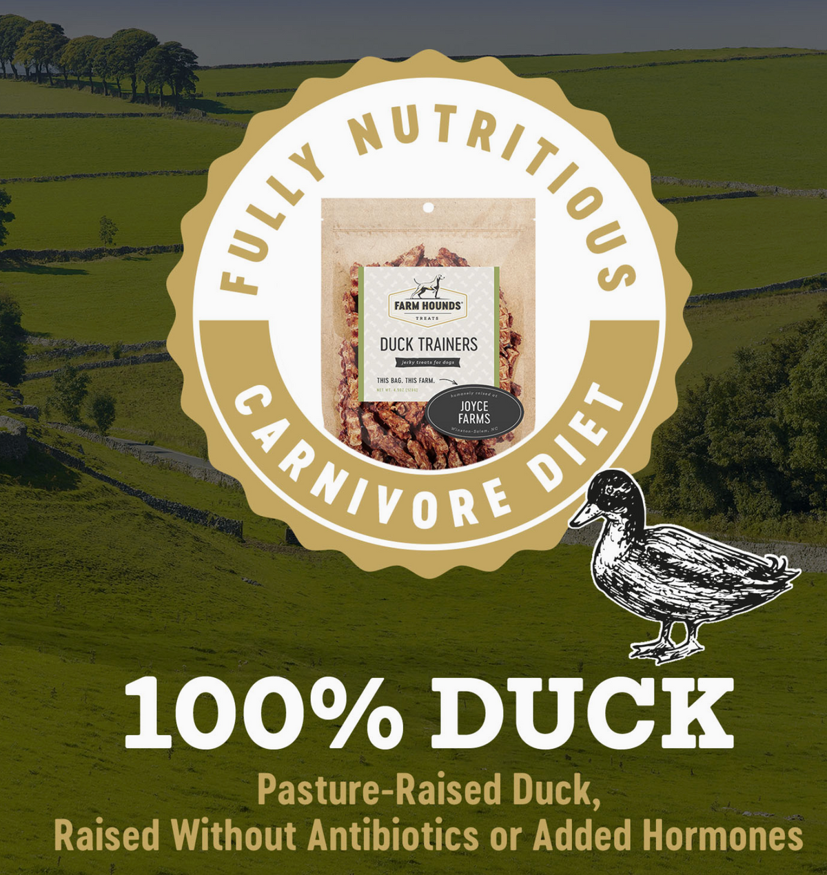 Farm Hounds | Duck Trainers