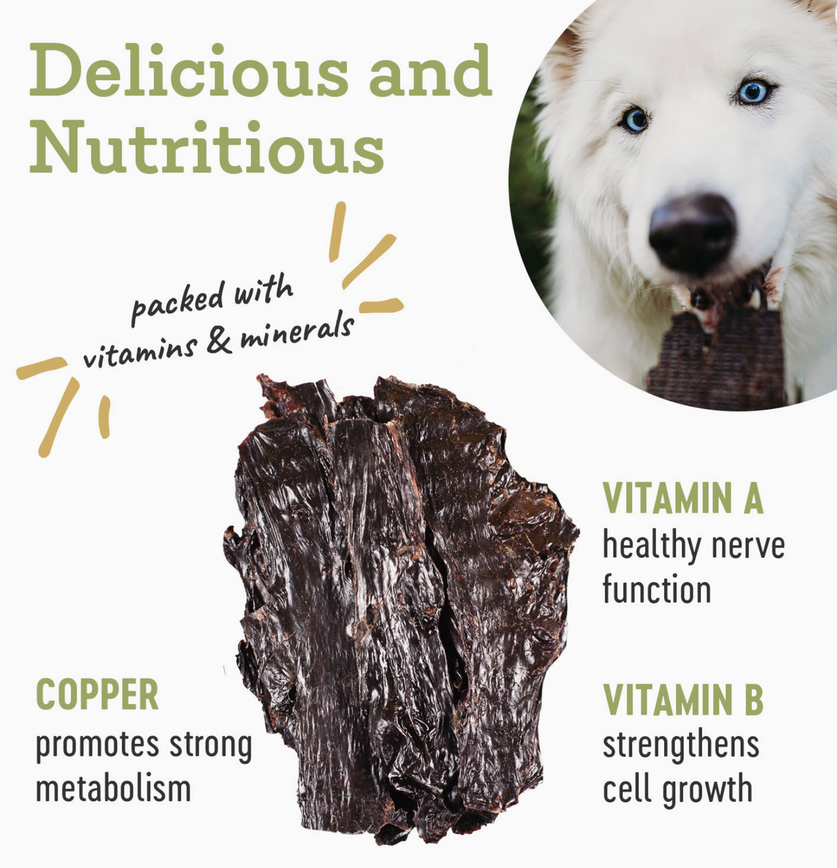 Farm Hounds | Beef Spleen 4 oz