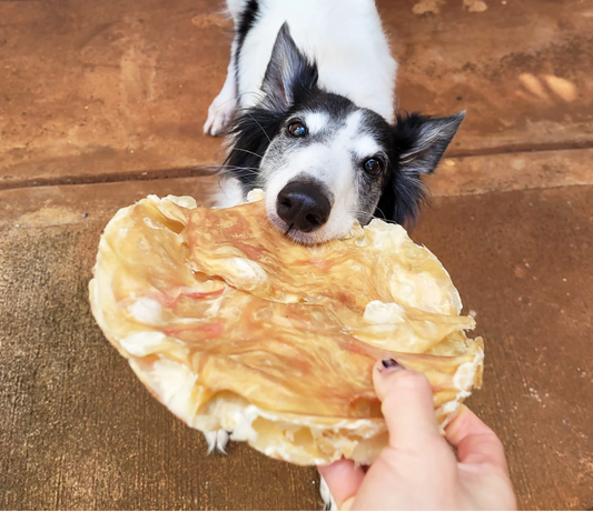 Tuesday’s Natural Dog Company |  Tremenda Disc Chews – 2 Pack