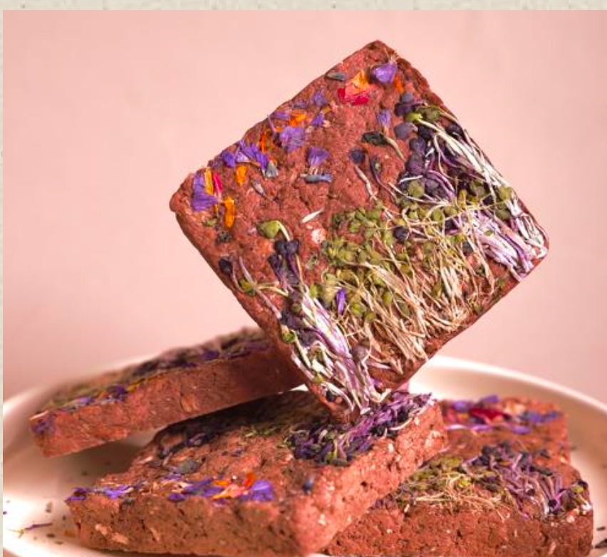 Fredy | Horse & Microgreens Brick