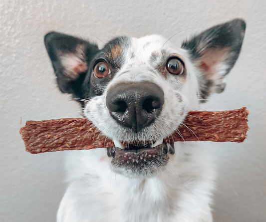 Farm Hounds | Lamb Strips  3.5 oz ·（ Seasonal）