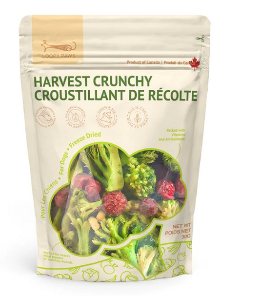 Loopy Paws | Harvest Crunchy