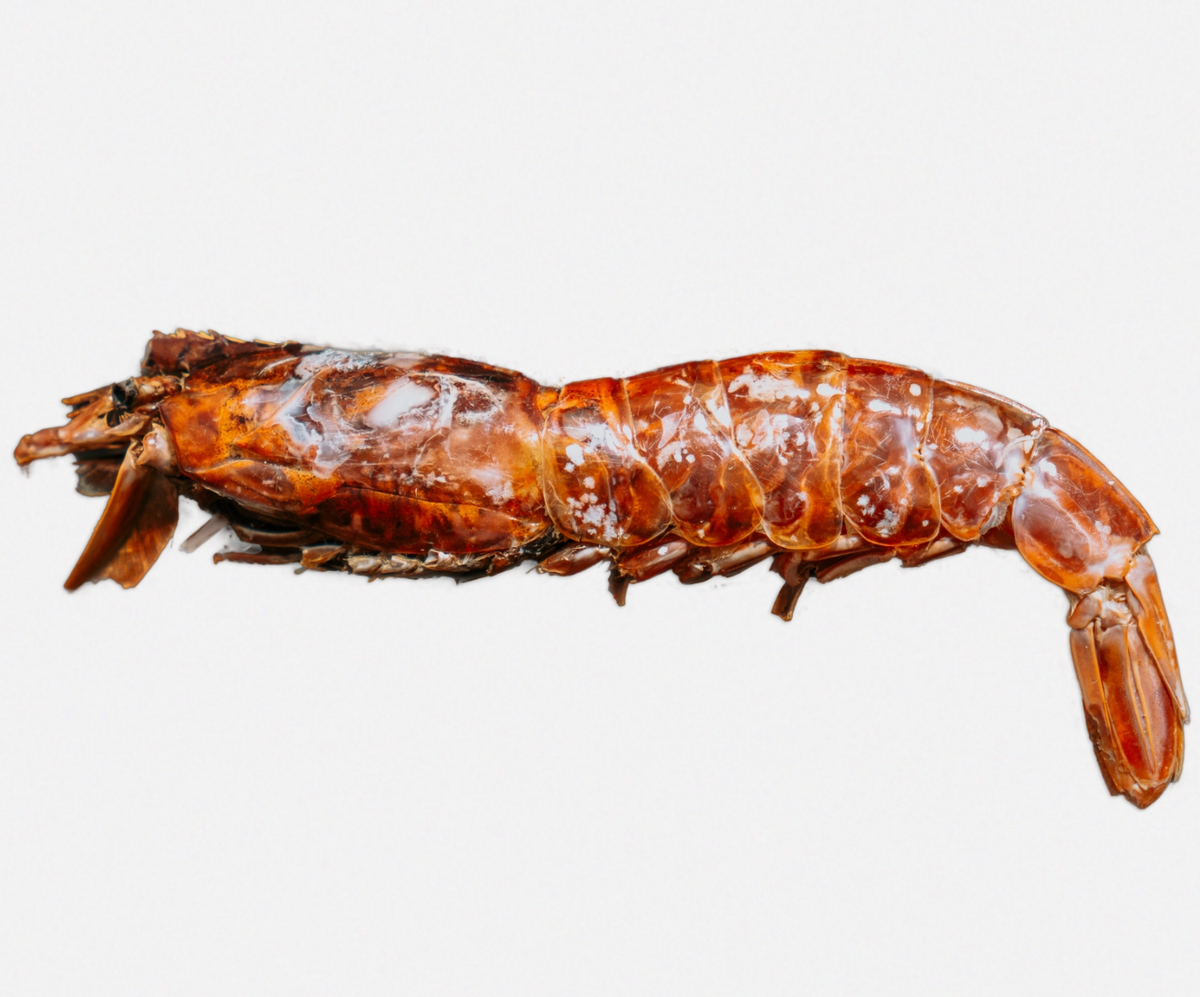 Wild n Fresh | Dehydrated Argentine Red Shrimp 3 oz