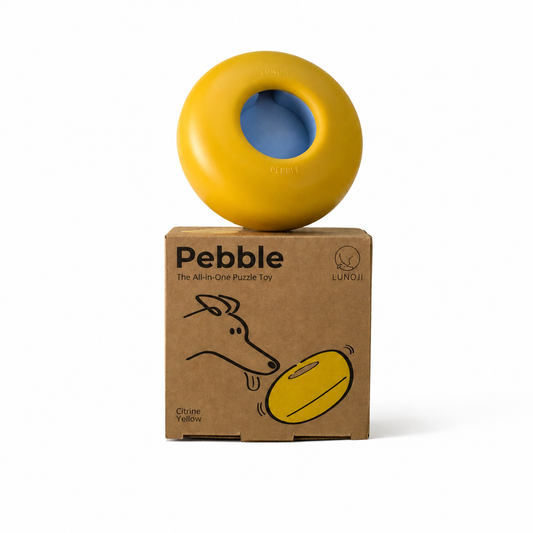 Lunoji | Pebble All-in-One Puzzle Toy