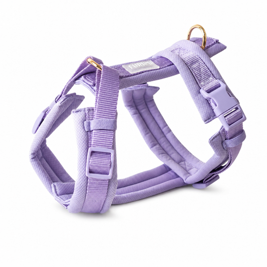 FURLOU |  Comfort Dog Harness
