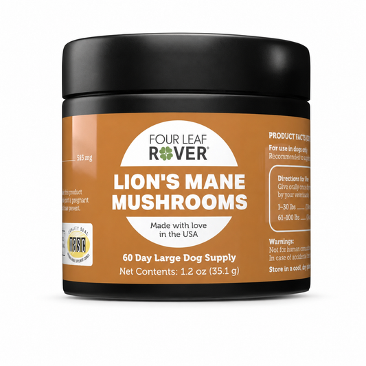 Four Leaf Rover | Lion’s Mane Mushrooms for Dogs