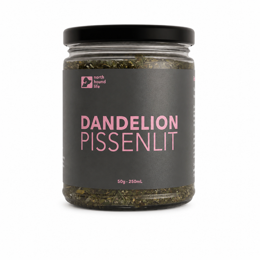 North Hound Life  | Dandelion