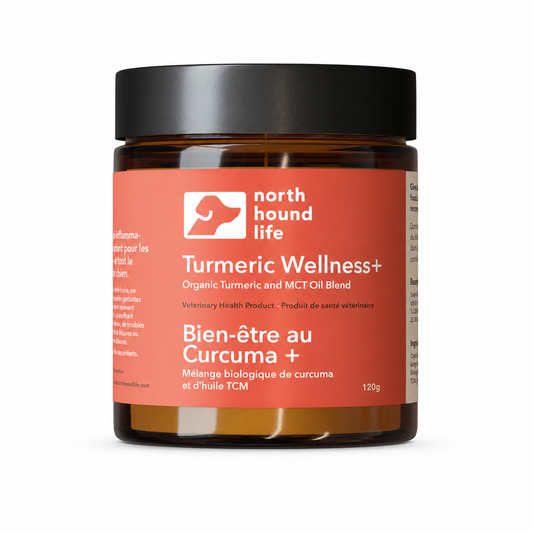 North Hound Life | Turmeric Wellness+ – Organic Turmeric & MCT Oil Blend