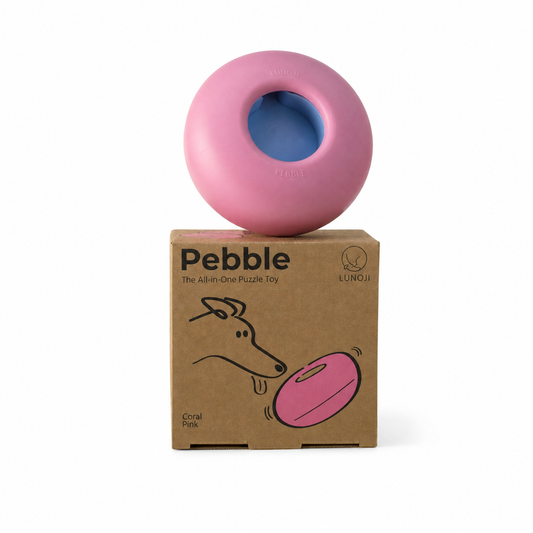 Lunoji | Pebble All-in-One Puzzle Toy
