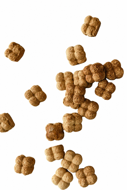 Fredy | Pigeon Liver & Blood Treats – 1.76 oz