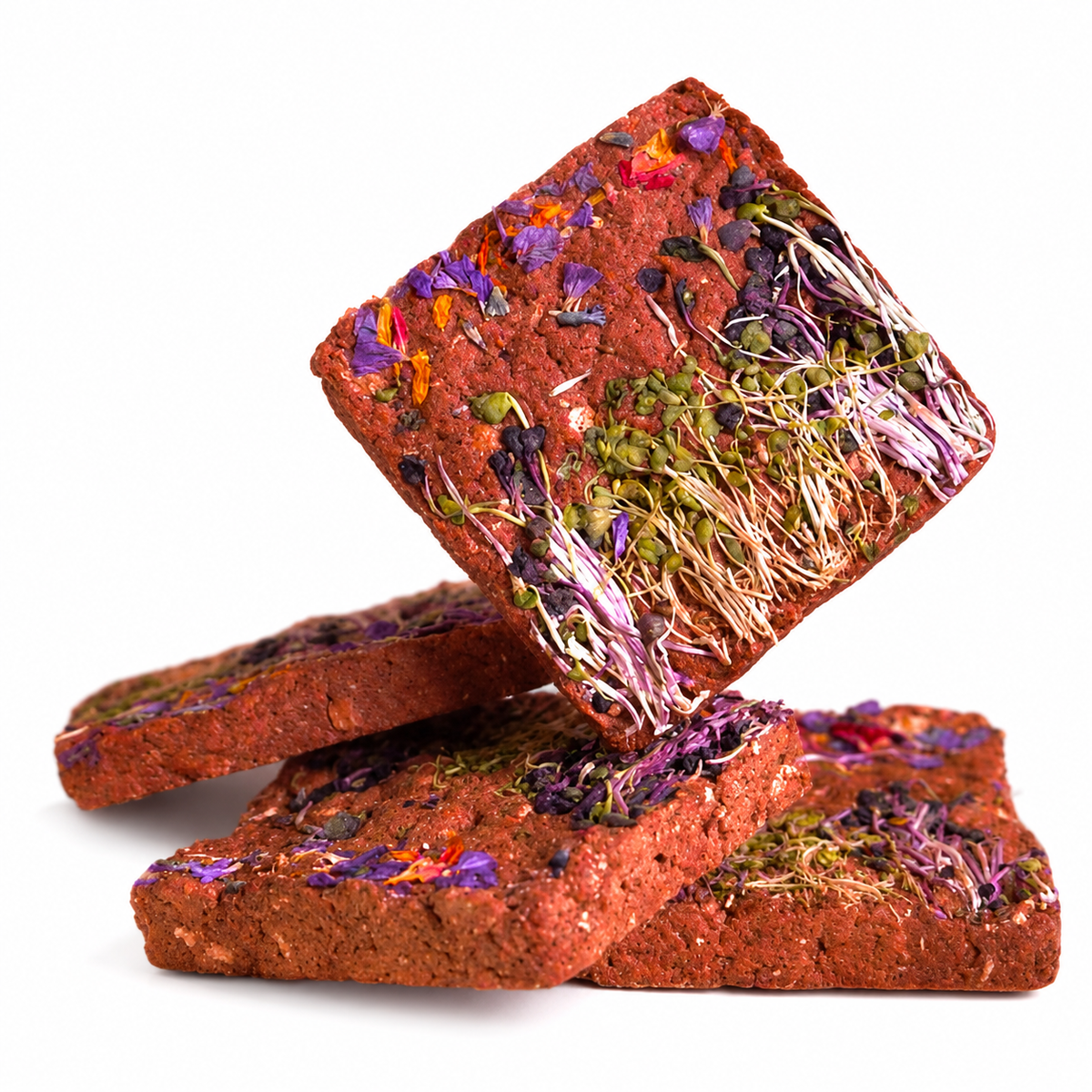 Fredy | Horse & Microgreens Brick
