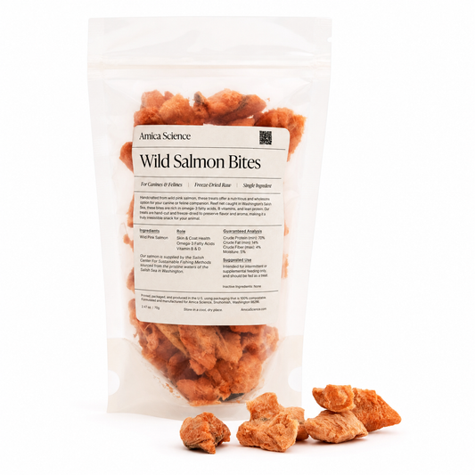 Amica Science | Wild Salmon Bites