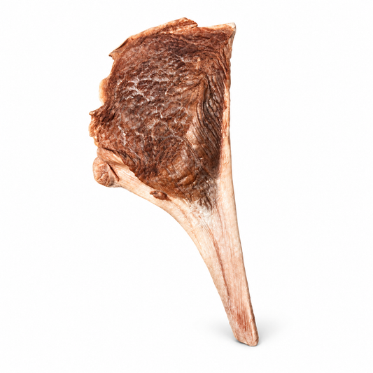 Ostrich Meat & Tendon Chew