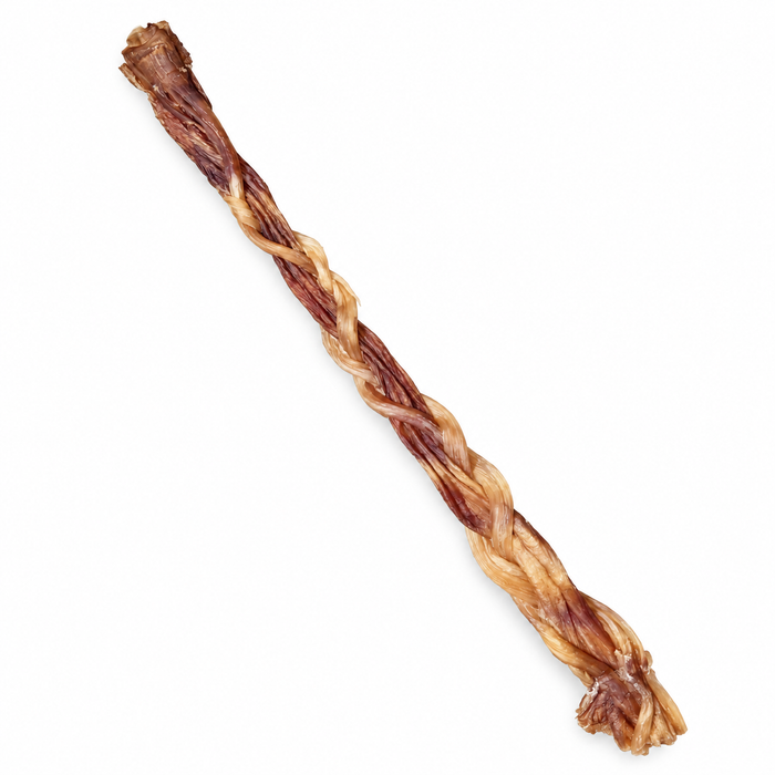 Ostrich Esophagus & Tendon Braid 40cm long