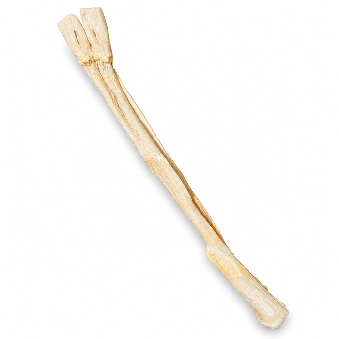 New Zealand Freeze-Dried Beef Tendon